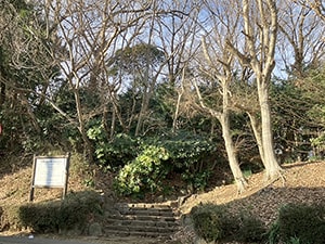 周辺環境12